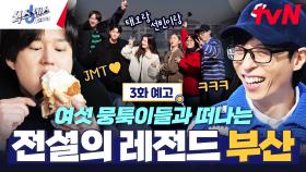 [3화 예고] 식센이들 도파민 터졌다!💥 레전드 급 게스트와 함께하는 레전드 가짜 찾기 in 부산!