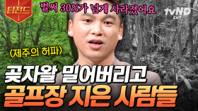 인간의 이기심으로 사라지고 있는 곶자왈💥 우리가 자연 생태계에 관심을 가져야 하는 이유 | #어쩌다어른 #티전드
