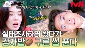 [#감자연구소] 실태조사하러 나왔는데 정신 차려보니 감자밭 위...? 데굴데굴 감자가 된 강태오🥔
