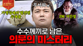 아직까지 진실이 밝혀지지 않은 이야기😱 전 세계를 공포에 떨게 한 미스터리 전설들 | #프리한19 #티전드