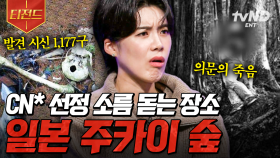 그 장소에 발을 들이는 순간, 벗어날 수 없습니다⚠️ 전 세계의 소름 돋는 미스터리.zip | #다빈치노트 #티전드