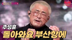 상남자 포효란 바로 이런 것🔥 추성훈의 〈돌아와요 부산항에〉♪ | tvN STORY 250314 방송