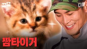 이렇게 귀여워도 되는 거임? 짬타이거도?? 소대를 뒤집어놓은 고양이(?)의 정체 | 푸른거탑