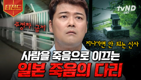 ⚠️이 다리를 건너지 마시오⚠️ 전 세계의 소름 끼치는 미스터리 장소들 | #프리한19 #티전드
