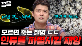대비하지 않으면 목숨이 위험하다?! 인류를 위협하는 끔찍한 질병의 정체 | 프리한19