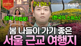 날씨도 풀렸는데 피크닉 가야지🌸 인생샷 건질 수 있는 서울 근교 핫플 | #프리한19 #티전드