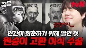 회춘하고 싶어 원숭이의 고환을 이식받은 사람?! 영생 욕심이 만들어 낸 참사💥 | 벌거벗은세계사