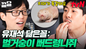 유재석에게 닮은 꼴 동물 추천하는 이정하💬 ＂재석이 형은... 벌거숭이 뻐드렁니쥐^^＂ | 아파트404