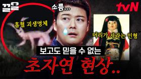 이게 진짜라고? 과학으로도 설명 불가, 보고도 믿기 어려운 초자연 현상 | 프리한19