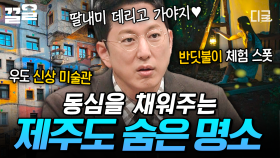 이번 제주도 여행은 여기를 추천합니다❗ 동심 가득, 재미 가득한 제주도의 숨은 명소😆 | 프리한19
