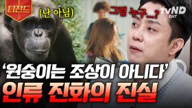 인간의 조상은 원숭이가 아니다❗ 인간은 과연 무엇에서 진화를 한 걸까? | #벌거벗은세계사 #티전드
