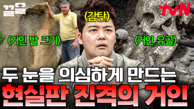 거인은 진짜 존재했다?! 진실 혹은 거짓, 논란을 일으키는 다양한 사건들 | 프리한19