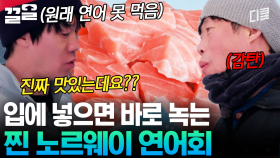 연어 녹아요💙 노르웨이 연어회의 맛에 폭싹 반했수다 | 텐트밖은유럽노르웨이편