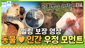 보기만 해도 힐링되는 그 자체...❣ 사람과 함께 살아가는 동물 친구들.zip | 프리한19