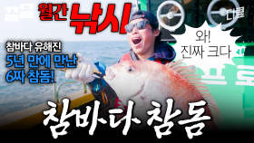여러분, 이게 참돔입니다🔥 전설의 6자 참돔을 잡은 유해진ㄷㄷ | 삼시세끼어촌편5