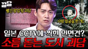 일본 CCTV에 찍힌 인면견의 정체?! 듣기만 해도 소름 돋는 도시 괴담.zip | 프리한19