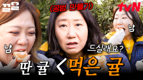 제주도의 감귤 체험 농장을 방문한 멤버들! 귤 따자마자 입으로 직행하는 라미란X김숙 | 주말사용설명서