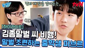 벌만 보면 바로 뛰어감 ㄷㄷ 곤충에 진심인 중학생 파브르 (말벌 아저씨 아님) #highlight