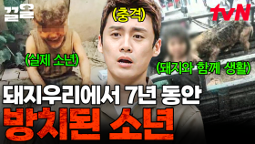 7년 동안 돼지우리에서 아들을 키운 가족?! 사람들을 분노케 한 전 세계의 사연들 | 프리한19