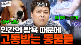 구스다운의 불편한 진실부터 끔찍한 동물 실험까지... 인간에 욕심에 의해 희생된 동물들 | 프리한19