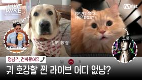 [#라이브와이어] 따르릉📞 멍냥즈 전화왔어요🐱🐶