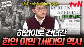 20세기 초 하와이로 건너간 한인 이민자들, 생계를 위해 고향을 떠난 사람들의 이야기 | 벌거벗은세계사