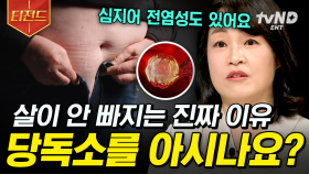 우리가 살이 안 빠지는 건 OO 때문입니다❗ 당독소에 대한 모든 것 | #너의몸소리가들려 #티전드