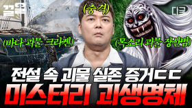 전설 속 거대한 크라켄이 실존한다? 전 세계에 떠도는 괴생명체 미스터리.zip | 프리한19