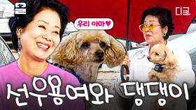귀여운 댕댕이 아마와 함께 하는 파란만장 선우용여의 일상 (+반려견 교육법, 강아지 영양식) | 대화가필요한개냥