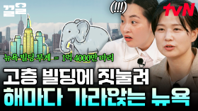 수많은 고층 빌딩이 지어져 있는 뉴욕, 해마다 가라앉고 있다?! 뉴욕에 대한 충격적인 진실! | 알쓸별잡