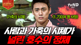 평범했던 마을이 죽음의 땅으로 변한 이유💀 과학적으로 설명할 수 없는 미스터리한 사건들 | #프리한19 #티전드