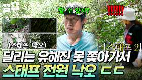 지칠 줄 모르는 에너지🔥 산 뛰어 올라가는 유해진을 따라잡지 못하는 스태프들ㅋㅋㅋ | 삼시세끼Light