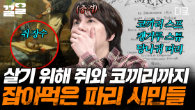 독일에 파리를 점령당한 시민들, 식량 부족으로 쥐와 코끼리까지 먹었다?! | 벌거벗은세계사