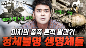 어디서도 본 적 없는 정체 불명의 유골 발견❗ 전 세계 속 미지의 생명체들 흔적.zip | 프리한19