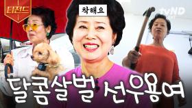 반려견 기강 제대로 잡는 선우용여의 일상 (+다소 과격한 애정표현) | #대화가필요한개냥 #티전드