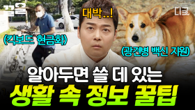 그거 아세요? 알아두면 유용한 생활 속 꿀팁 大공개 | 프리한19