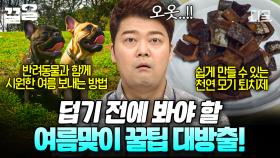다가오는 여름에 점점 더워지는 날씨☀ 무더위 제대로 준비하는 꿀팁 공개❗ | 프리한19