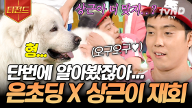 ＂얘 누가 봐도 상근이잖아!＂ 내가 다 뭉클해지는 상근이와의 재회🐶 | #세얼간이 #티전드