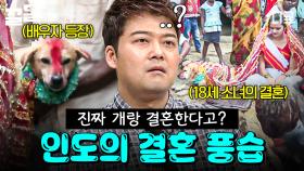 충격적인 인도의 결혼 풍습😧 18세 소녀가 개와 결혼하게 된 이유는?! | 프리한19