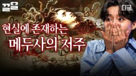 ＂메두사의 눈과 마주치면 누구든 돌로 변한다...＂ 돌처럼 굳는 저주가 현실에 존재한다?! | 다빈치노트
