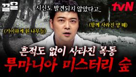 목동이 양 떼와 함께 사라졌다?! 흔적도 없이 사라진다는 루마니아 숲의 전설 | 프리한19