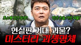 전설 속 거대 괴물이 호수에 실존한다?! 정체를 알 수 없는 괴생명체 미스터리 | 프리한19