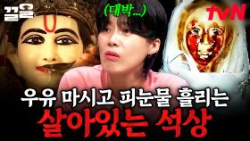 우유 마시고 피눈물을 흘리는 석상이 있다?! 