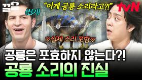 영화에 나오는 공룡 소리가 실제 소리인 줄 알았는데?!😧 우리가 잘 몰랐던 공룡에 대한 진실들 | 벌거벗은세계사