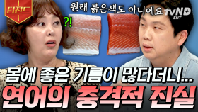 연어는 원래 붉은색이 아니다!? 전문가가 알려주는 