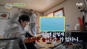 염 대장 이런 모습 처음이야! 짚라인 타자고 하는 막내즈 때문에 겁먹은 염정아ㅋㅋ🥶 | tvN 250608 방송