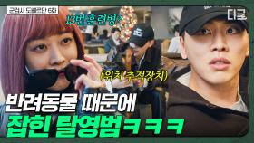탈영범 찾았다^^ 조보아가 탈영한 사단장 아들 찾아내는 방법 | 군검사도베르만