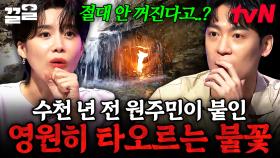 폭포 사이에 피어난 불꽃🔥 
