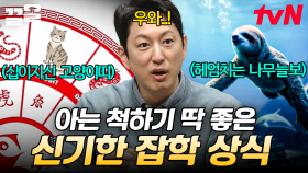 나도 원래는 고양이띠? 메추리알이 새하얘지는 마술?! 알아두면 재미있는 잡다한 지식💡 | 프리한19