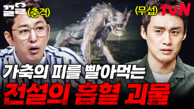 흡혈 괴물?🩸 하늘을 나는 마녀?🧹 과학으로도 풀리지 않은 기이한 현상 모음 | 프리한19